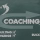Executive\Life coaching