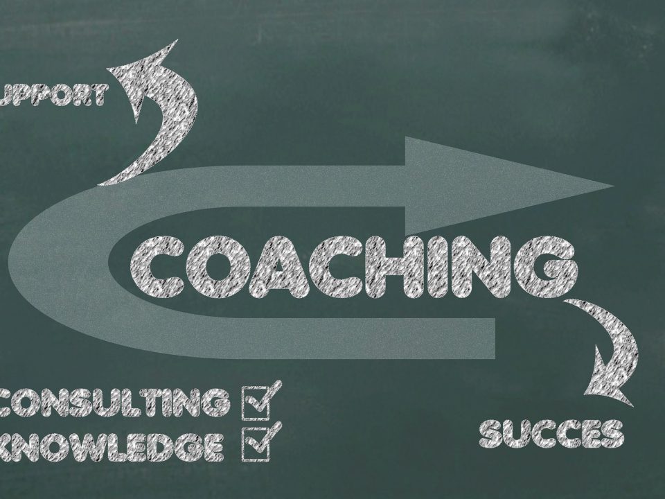 Executive\Life coaching